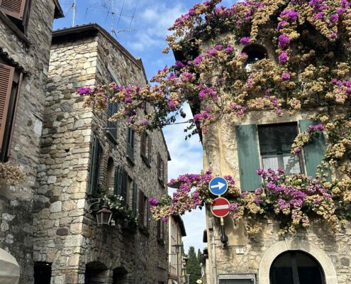 6a5fdc64-10b5-463f-9c2f-ac7a9750a53c