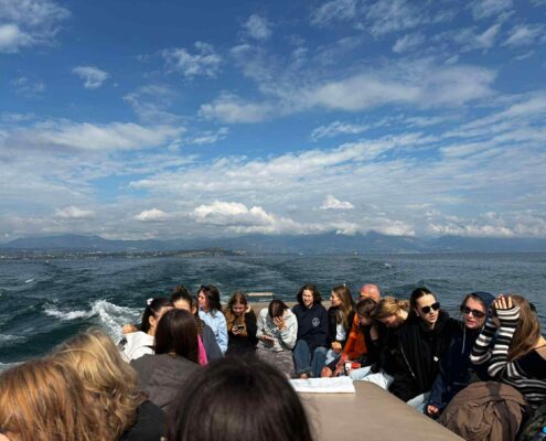 d082fc11-5800-43e1-a8dd-c5781752d007